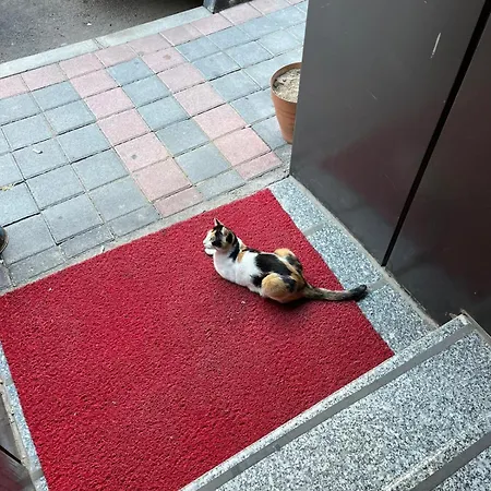 招待所 Onn 伊兹密尔